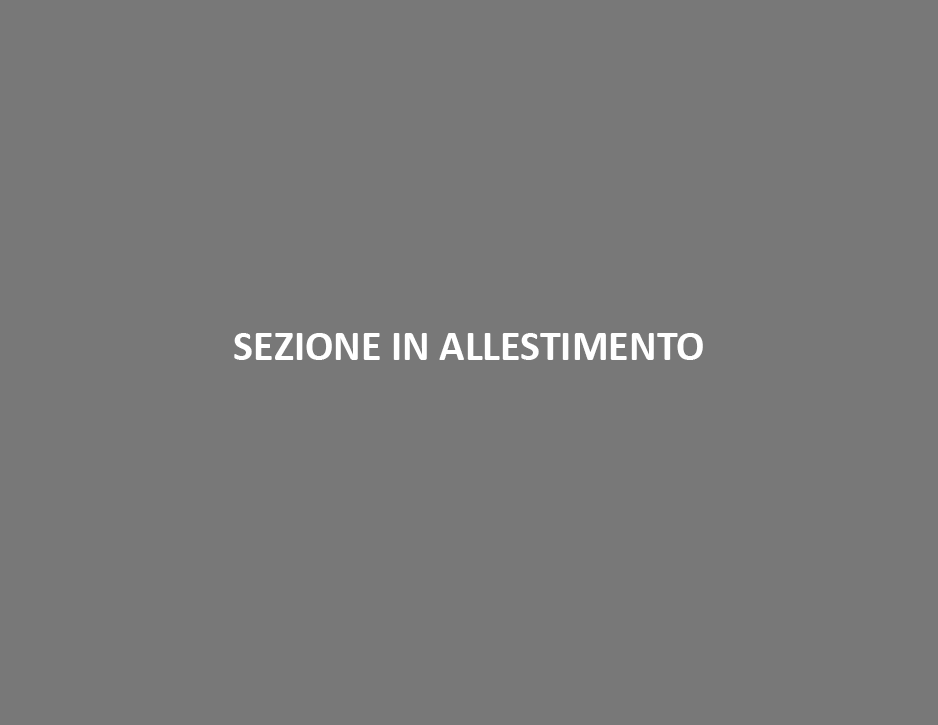 MUSEO MAGA - FONDAZIONE GALLERIA D'ARTE MODERNA E CONTEMPORANEA 'SILVIO ZANELLA'